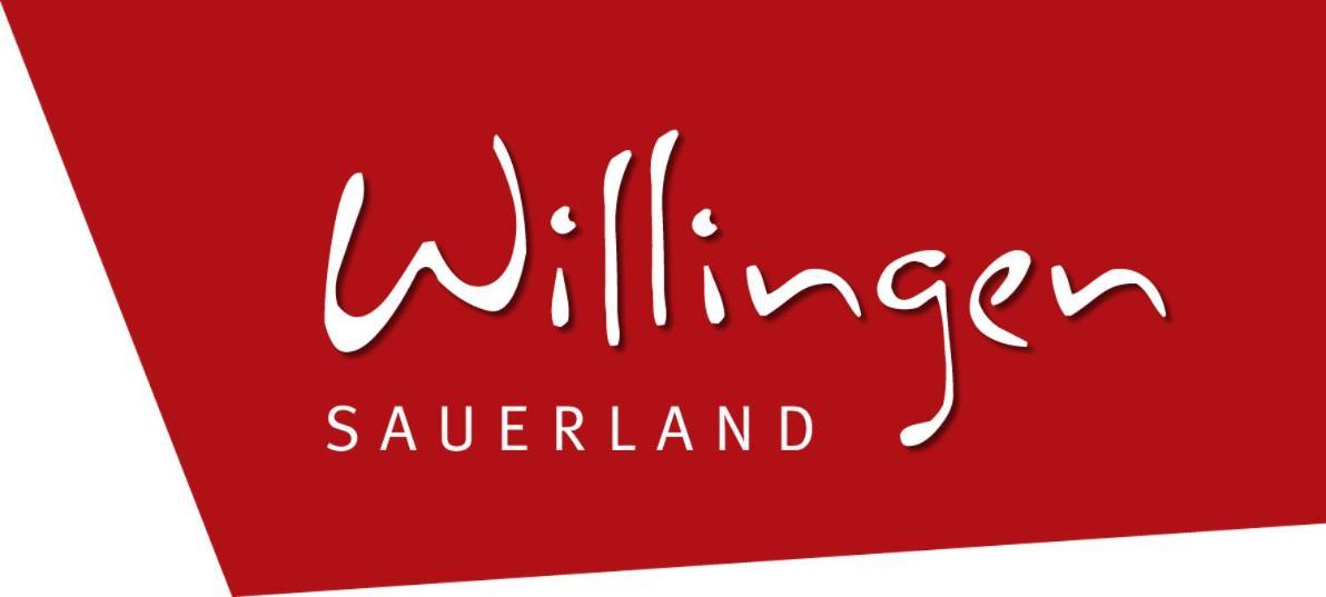 Komfort-Fewo Blickfang Willingen*** Willingen  Esterno foto