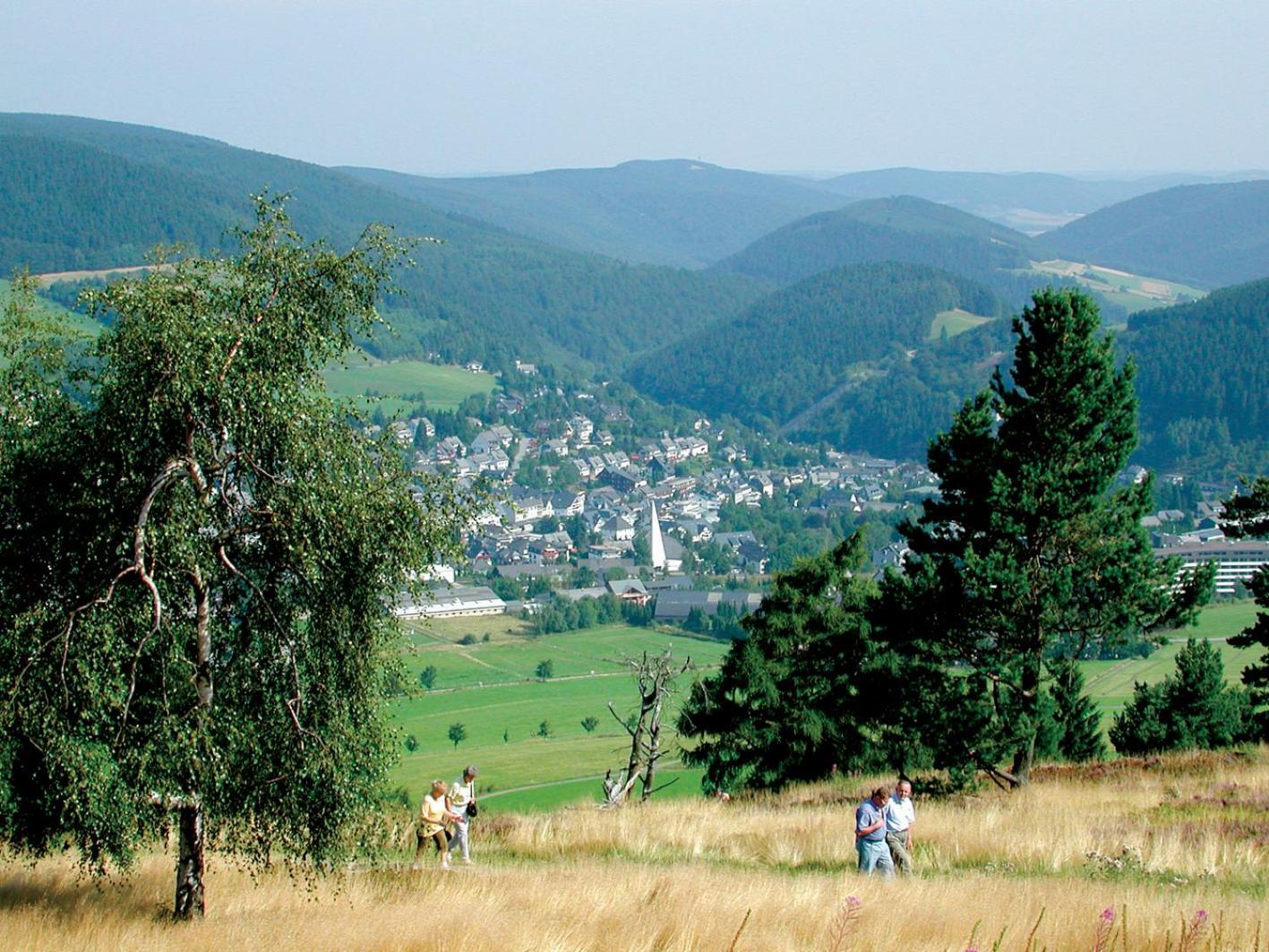 Komfort-Fewo Blickfang Willingen*** Willingen  Esterno foto